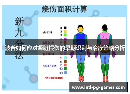 波普如何应对肾脏损伤的早期识别与治疗策略分析 波普如何应对肾脏损伤的早期识别与治疗策略分析